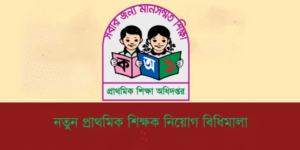 নতুন প্রাথমিক শিক্ষক নিয়োগ বিধিমালা ২০২৫ বিস্তারিত বিশ্লেষণ