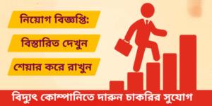 বিদ্যুৎ কোম্পানিতে দারুন বড় চাকরির সুযোগ  রয়েছে, আবেদন করুন আজই